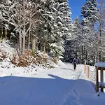 Vue Sur La Montagne Au Centre De Bussang