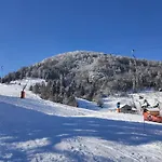 Vue Sur La Montagne Au Centre De Bussang
