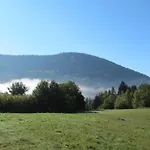 Vue Sur La Montagne Au Centre De Lejlighed Bussang