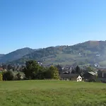 Vue Sur La Montagne Au Centre De * Bussang