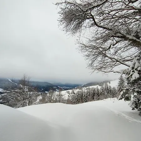 Vue Sur La Montagne Au Centre De *