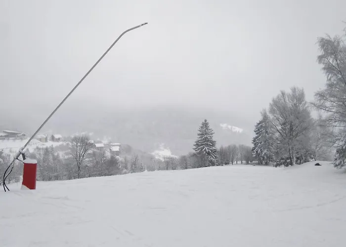 Vue Sur La Montagne Au Centre De