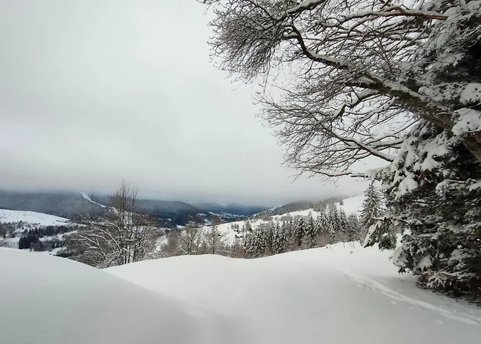Apartment Vue Sur La Montagne Au Centre De