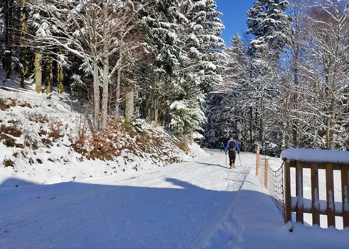 Vue Sur La Montagne Au Centre De Apartment *