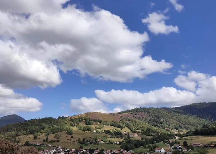 Apartment Vue Sur La Montagne Au Centre De Bussang